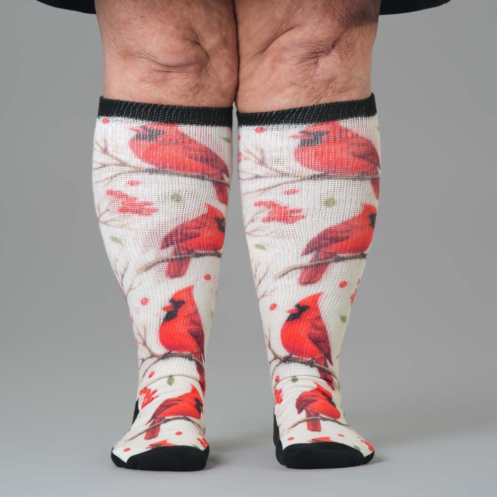 Backyard Birds EasyStretch™ Socks 5-Pack Bundle