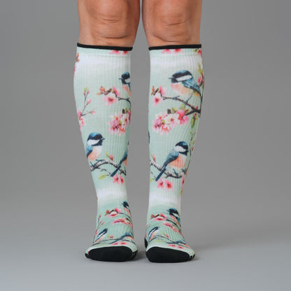 Backyard Birds Compression Socks 5-Pack Bundle