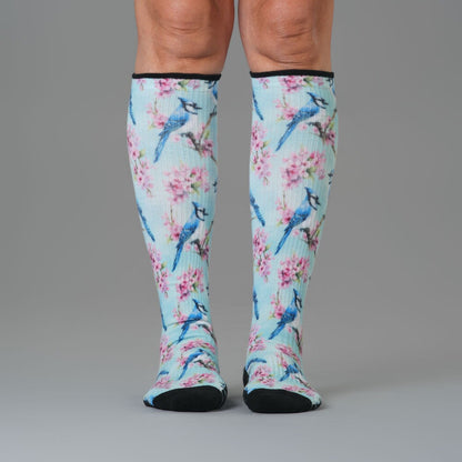 Backyard Birds Compression Socks 5-Pack Bundle