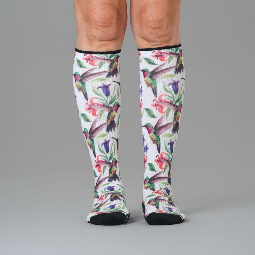 Backyard Birds Compression Socks 5-Pack Bundle