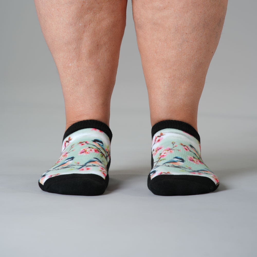 Backyard Birds Ankle Socks 5-Pack Bundle