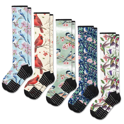 Backyard Birds Compression Socks 5-Pack Bundle